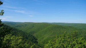 Куда улетают Грачи ? Весна - История одного дня