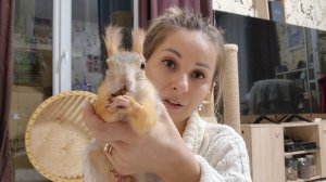 Дрессировка белки. Возможно ли это!? ?