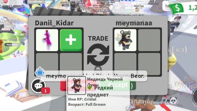 Что дают за Райд зелье!?(2023) 100% #AdoptMe , #Roblox #роблокс #игры смотреть онлайн
