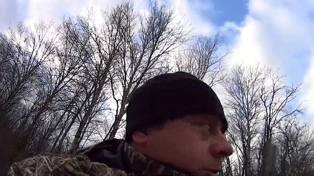 #Охота на копытных! Глазами загонщика! Косуля есть! смотреть онлайн