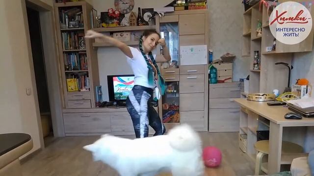 Танцевальный фитнес salsation смотреть онлайн