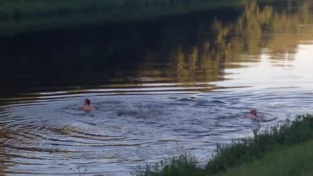 IMG 90511 смотреть онлайн