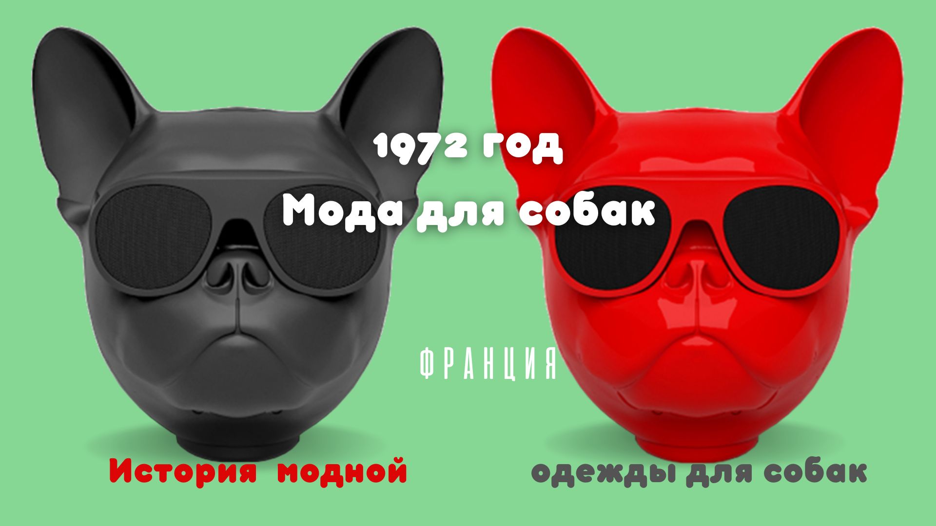 1972 Мода для собак. Франция.