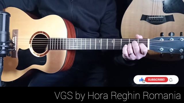 Hora VGS Guitar with problems - Neck-reset needed + Bad cut of the preamp location смотреть онлайн