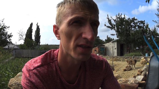 Авалон Технолоджис проверка вывод денег из 100 рублей будет 10000 рублей за один год смотреть онлайн