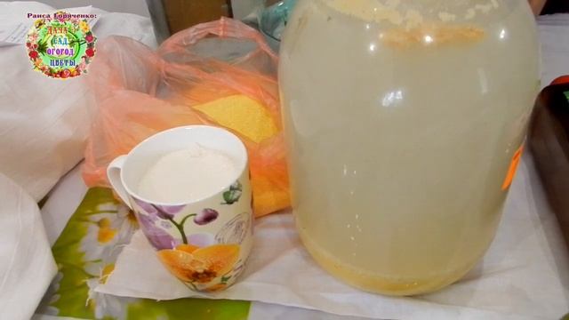 Что такое биофунгициды? Какие биофунгициды-биопрепараты использую, в теплице, на огороде и в саду. смотреть онлайн