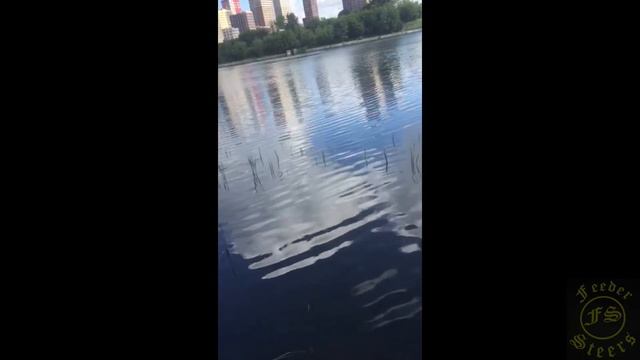 Рыбалка на МР в день рождения! смотреть онлайн