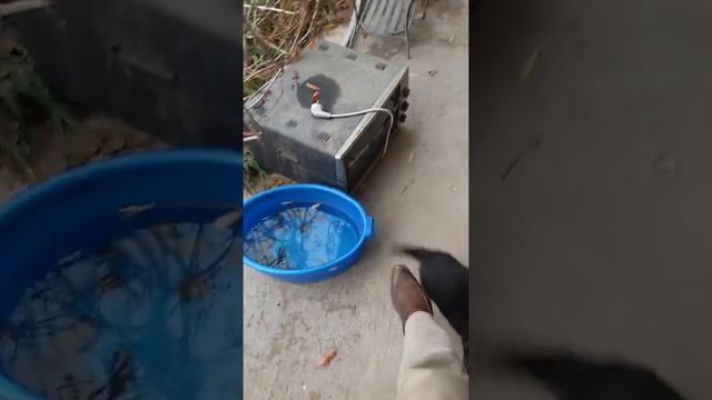 Немец маленький и злой смотреть онлайн