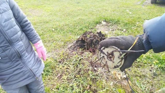 Ищем КЛАД на участке! смотреть онлайн