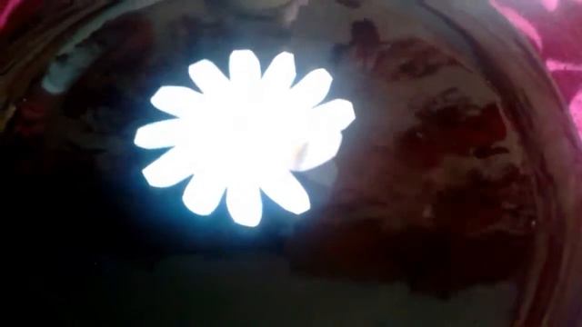 Цветы из бумаги которые оживают на воде. Flowers made of paper that come to life on the water. смотреть онлайн
