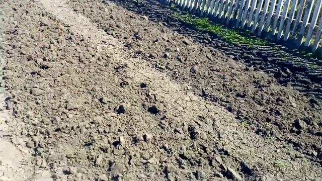 Озеро/Деревня Благовещенка,огород и первые посадки! смотреть онлайн