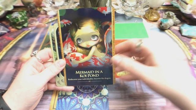 Pick A Card Reading:???What Does My Pet Think Of Me???? смотреть онлайн