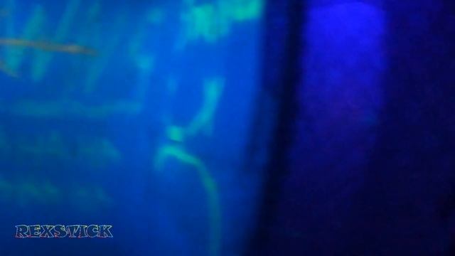 Killer Klowns  ?   Haunted House Walkthroughs ?  Clown Maze