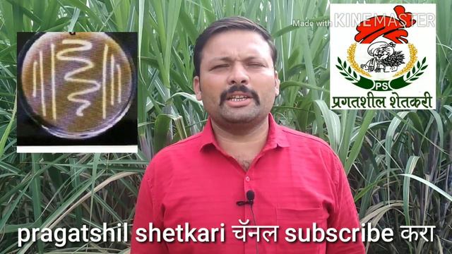 जिवाणू खतांची प्राथमिक माहिती смотреть онлайн