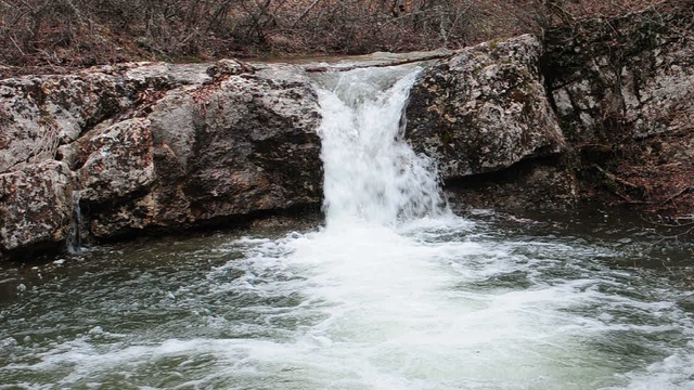 DSC_2829 смотреть онлайн