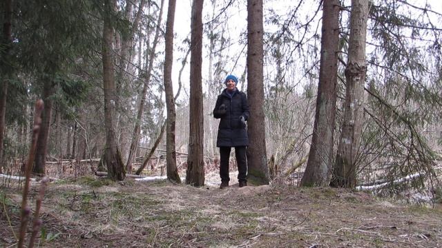 09.04.2020. Ом мани падме хум - Свет Души. смотреть онлайн