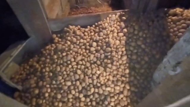 Осень - время сбора урожая... смотреть онлайн