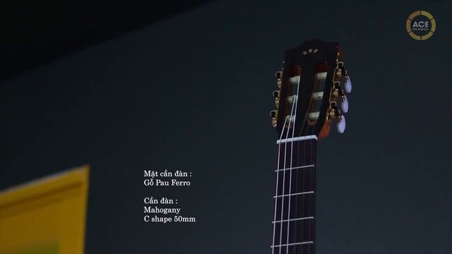 Highlight Đàn Guitar Classic Cordoba C5 CE SP 02702 смотреть онлайн