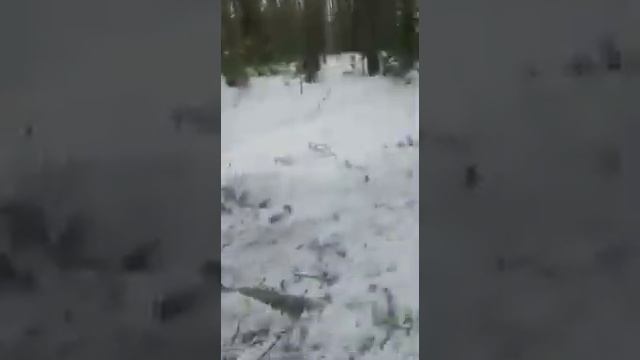 Запрещенная рубка леса в деревне Тлачек Таштыпского района Хакасии часть1 смотреть онлайн