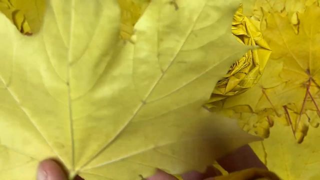 DIY /AUTUMN /УКРАШЕНИЕ ДЛЯ ВОЛОС /УКРАШЕНИЕ ДЛЯ ДОМА /КАК СДЕЛАТЬ РОЗУ ИЗ КЛЕНОВЫХ ЛИСТЬЕВ смотреть онлайн