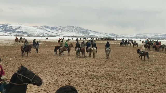 Бузкаши Ховалинг 27-01-2024 смотреть онлайн
