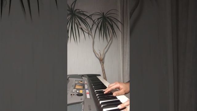 When We Were Young (Adele Acoustic Cover)