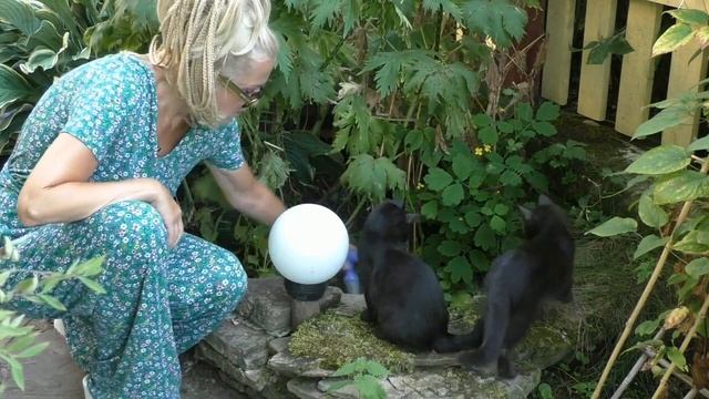 Как прогнать кротов с участка смотреть онлайн