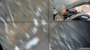 Alfa dobermann "коротыш"