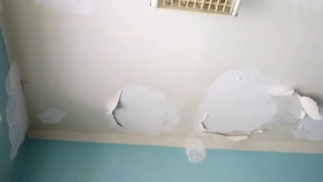 Ужасный потолок и Инструмент для зачистки маслянной краски ?.
