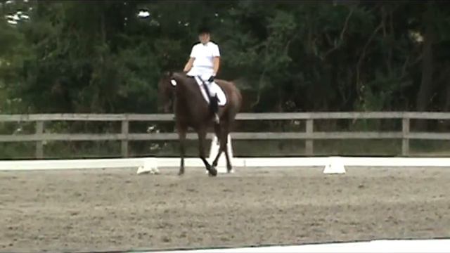 Scarlett Apple - EEMI Licensed Dressage Show смотреть онлайн