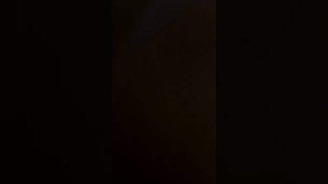 Неверное применение разрешительного принципа смотреть онлайн
