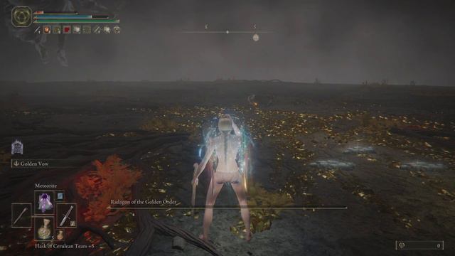 Elden Ring: Radagon+Elden Beast, No-Hit, Sorcery Build смотреть онлайн
