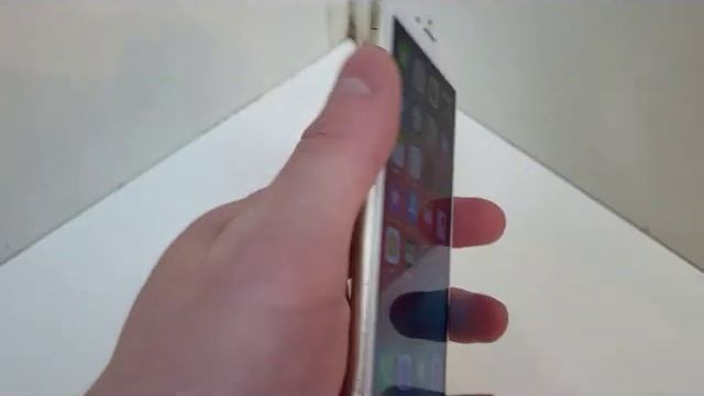 Видео №384393