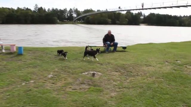 Экскурсия в Шаманку 24 августа 2021 смотреть онлайн