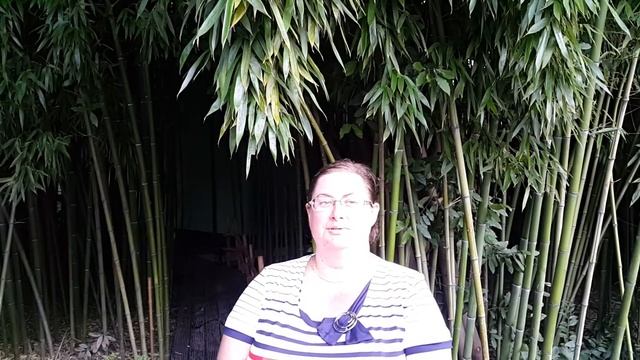 отзыв о Бамбук Хуторе Боголюбовой Т В замглавы администрации Пушкинского района Санкт-Петербурга смотреть онлайн