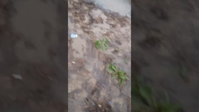 Потоп около аэропорта Шереметьево ч1 смотреть онлайн