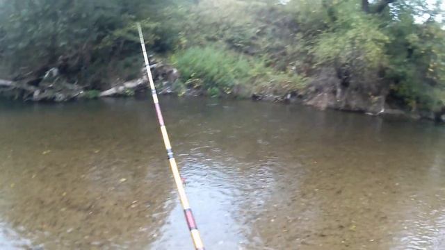 Как ловить голавля. Поклевки Голавля на кренки и калебалочки. #какловитьголавля#голавль#рыбалка#chu смотреть онлайн