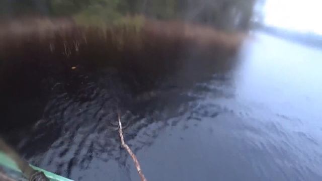 В ЛЕС НА 10 ДНЕЙ.ОХОТА И РЫБАЛКА.Копчение рыбы в бочке.Проверка самоловок.Охота на рябчика(4серия) смотреть онлайн