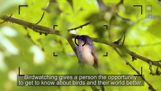 Western Tian Shan Birdwatching смотреть онлайн