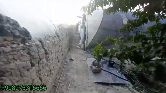 АНДИЖОНГА ТЕПЛИТСАЛАР УЧУН 5 ТА КОТТА КАТЁЛЛАР ДАСТАФКА КИБЕРДИК #PREMYERA #котел #добро #через #10 смотреть онлайн