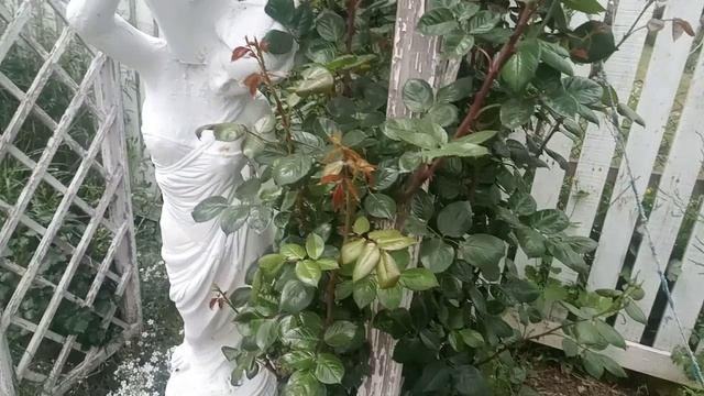 Обзор парка Укромный Симферополь 26 мая 2023г смотреть онлайн