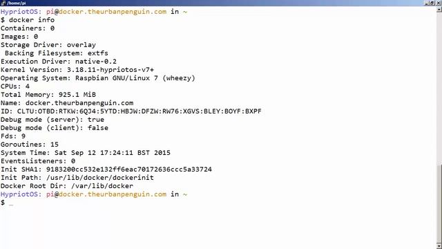 Raspberry Pi Docker Host смотреть онлайн