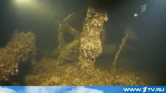 На дне Волги дайверы обнаружили пароход дореволюционной постройки смотреть онлайн