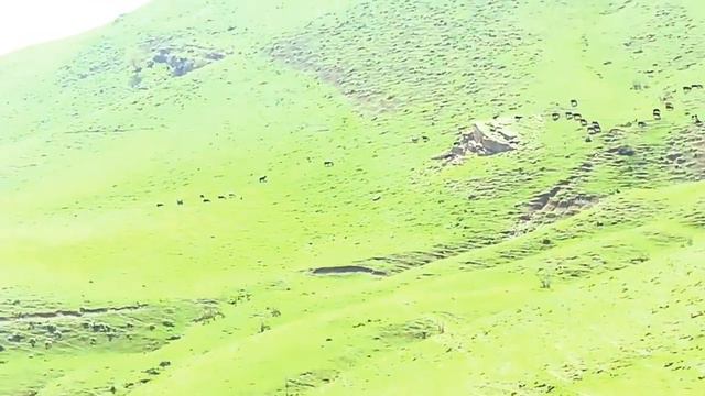 Mountains Tajikistan | Горах Таджикистан | Куххои Точикистон | Tojikiston Tog'lari