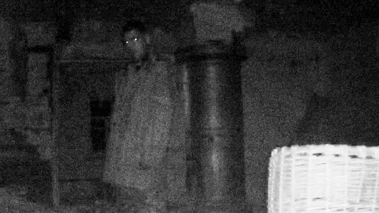 ЛОГОВО ВАМПИРОВ / VAMPIRE'S LOG смотреть онлайн