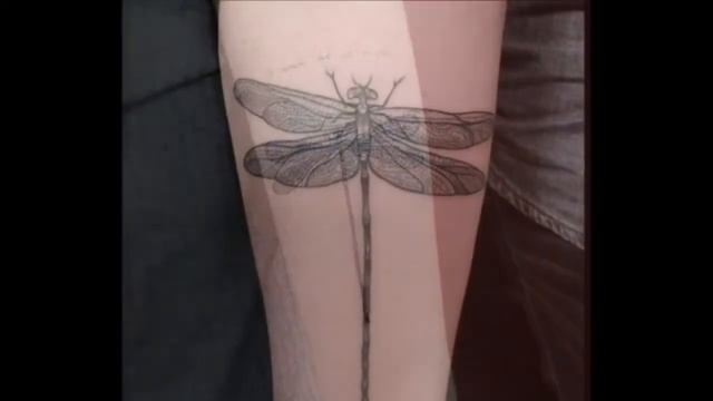Top 40 Best Dragonfly Tattoos смотреть онлайн