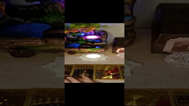 Общий таро прогноз на июнь 2024г. смотреть онлайн