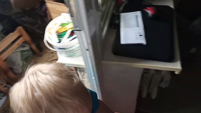 Играем в прятки. Прятки с Толиком. Чем занять ребенка дома Во что поиграть с ребенком 2023.г 2 июня смотреть онлайн