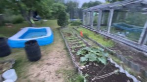 Дача 15. Купили дачу со всем содержимым.