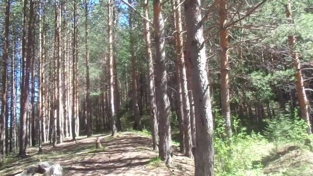 ASMR на русском Как выбрать баню смотреть онлайн